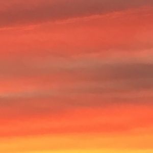 Meet your Posher, Ella